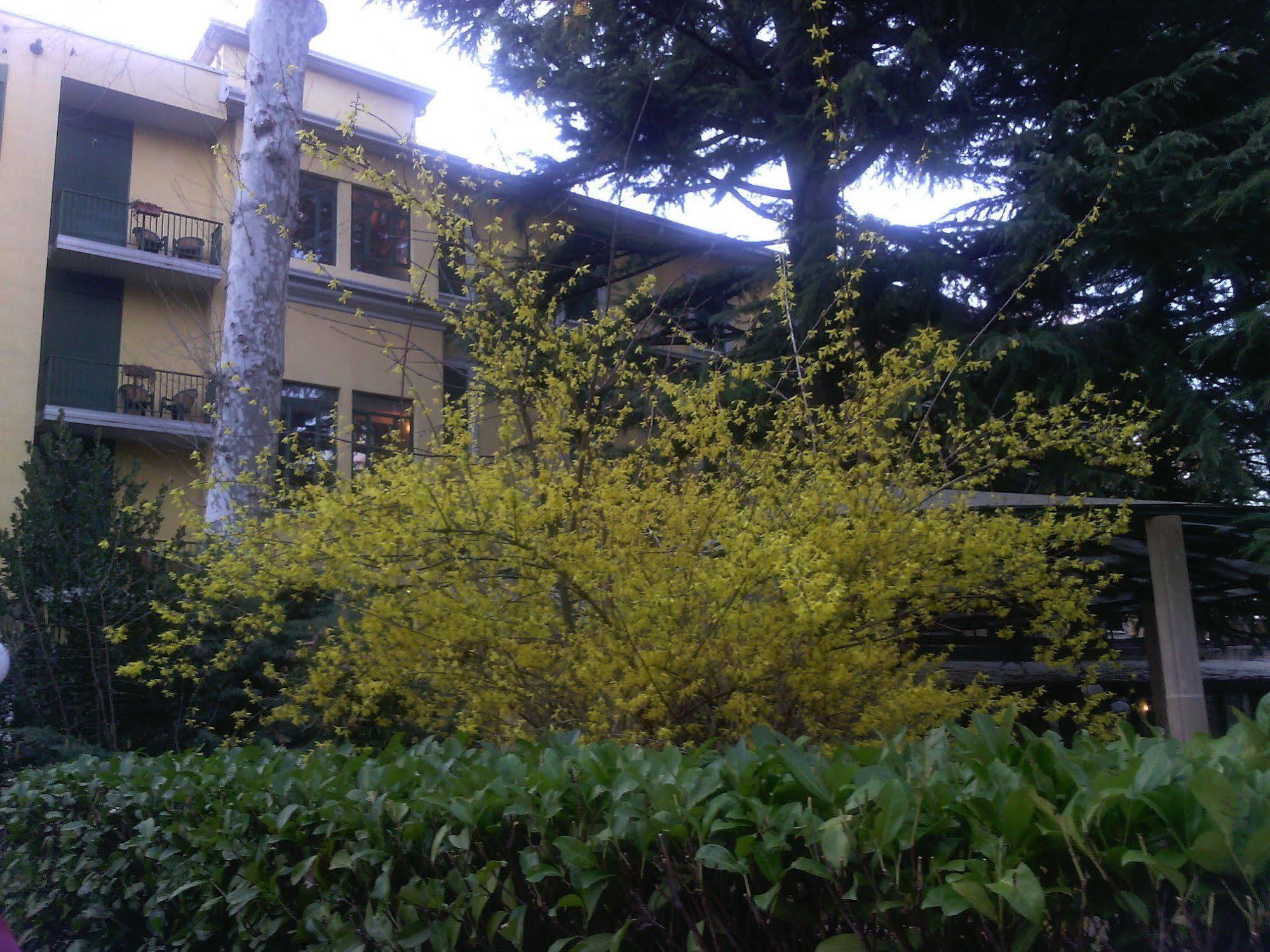 Hotel Salus Salice Terme Dış mekan fotoğraf